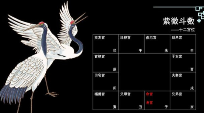 紫微风水堂:紫微斗数解析斗数大全