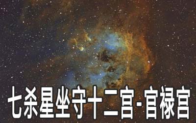 巨门星入子女宫代表什么?命盘中有何意义