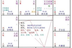 癸年命宫在子宫紫微星在未宫-留学