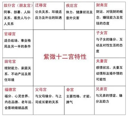 探秘紫微斗数：起源、方法与门派，解读人生运势的古老术数