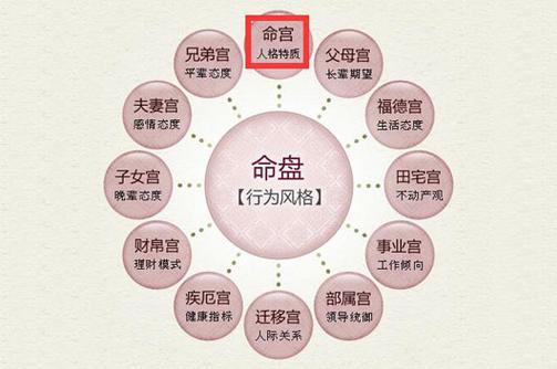 紫微斗数十二宫——命宫的意义