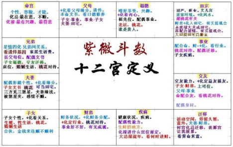 开罗皇家画廊学院安卓_紫微斗数app皇家典藏安卓_皇家守卫军3起源 安卓