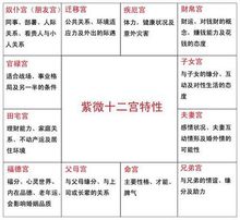 开罗皇家画廊学院安卓_紫微斗数app皇家典藏安卓_皇家守卫军3起源 安卓