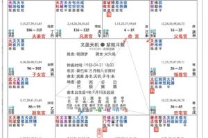 胡因梦命盘紫微斗数详解